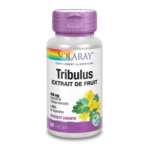 Tribulus standardisé à 40% de saponines Solaray
